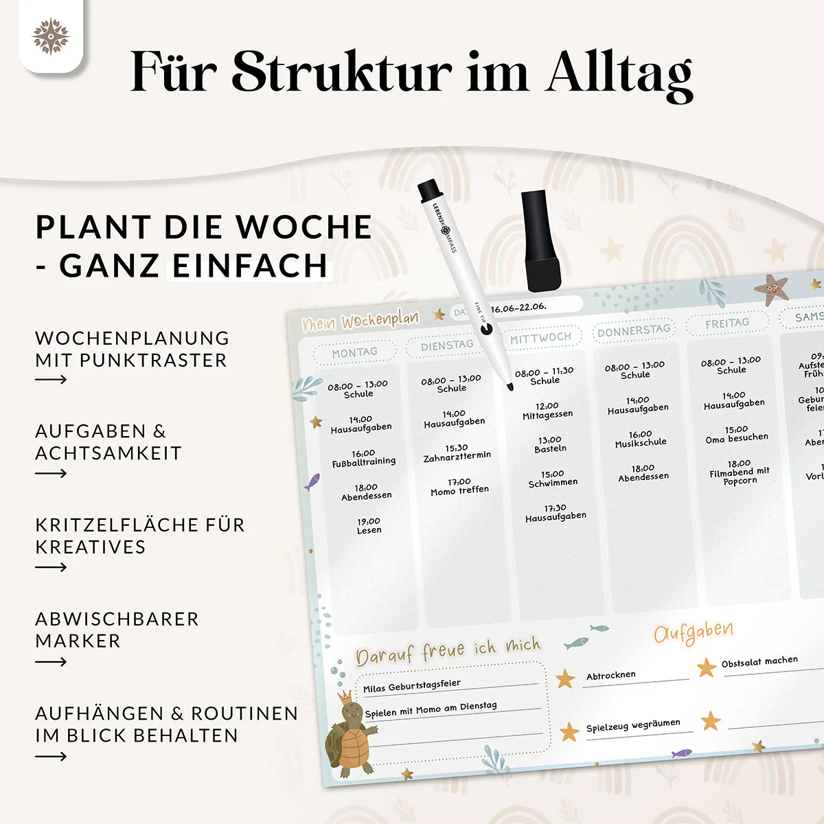 Vorschaubild 17