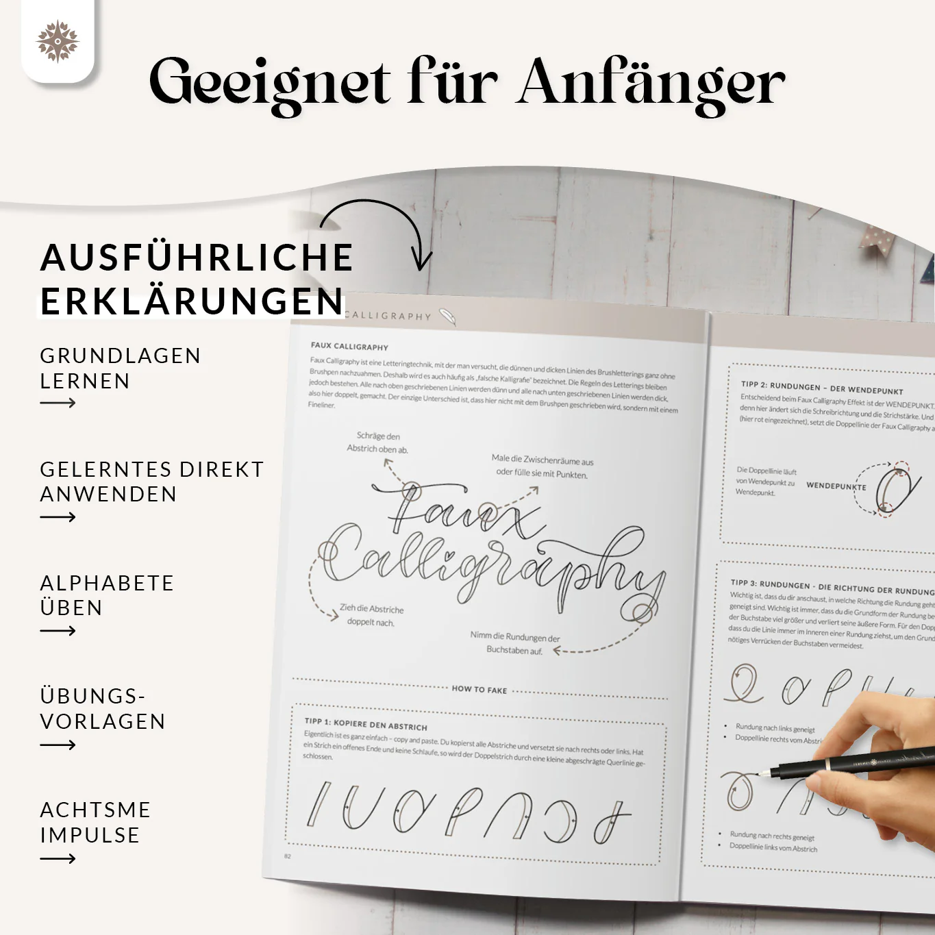 Vorschaubild 4