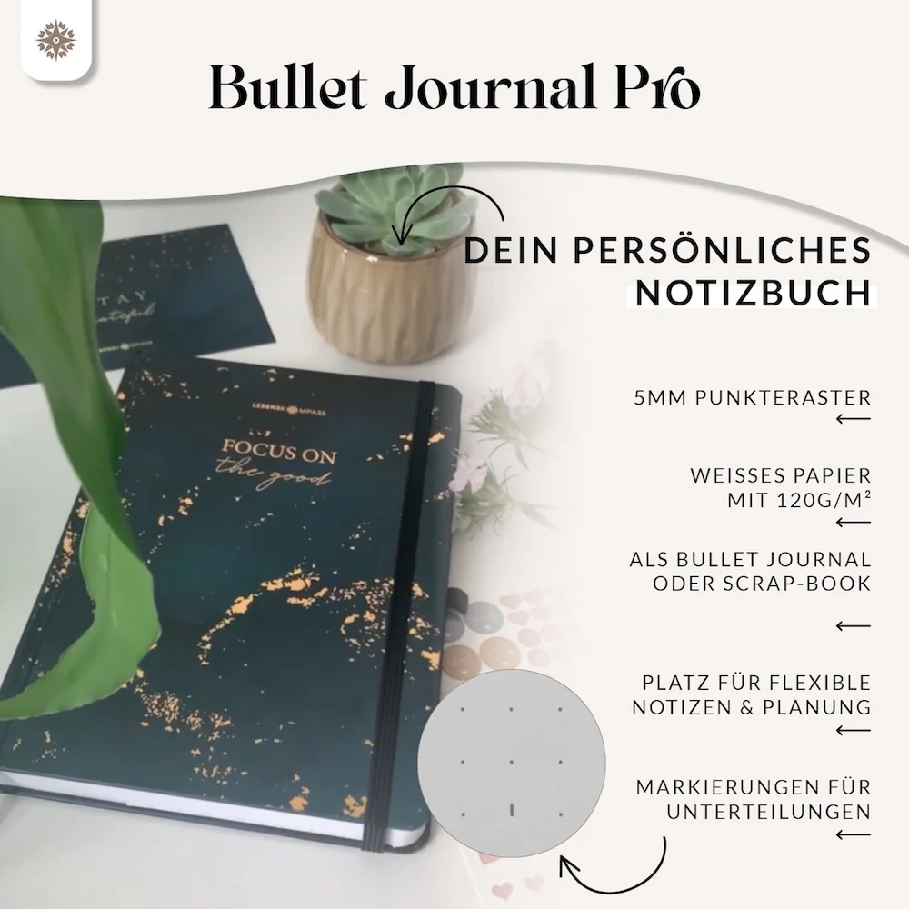 Vorschaubild 12