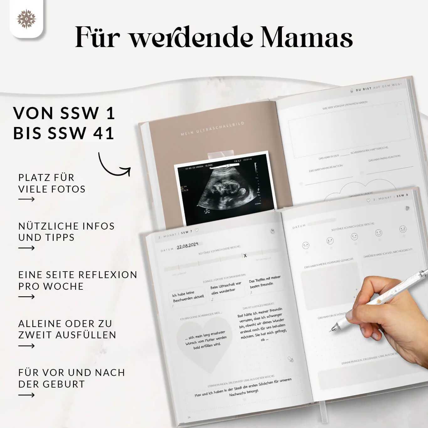 Vorschaubild 12