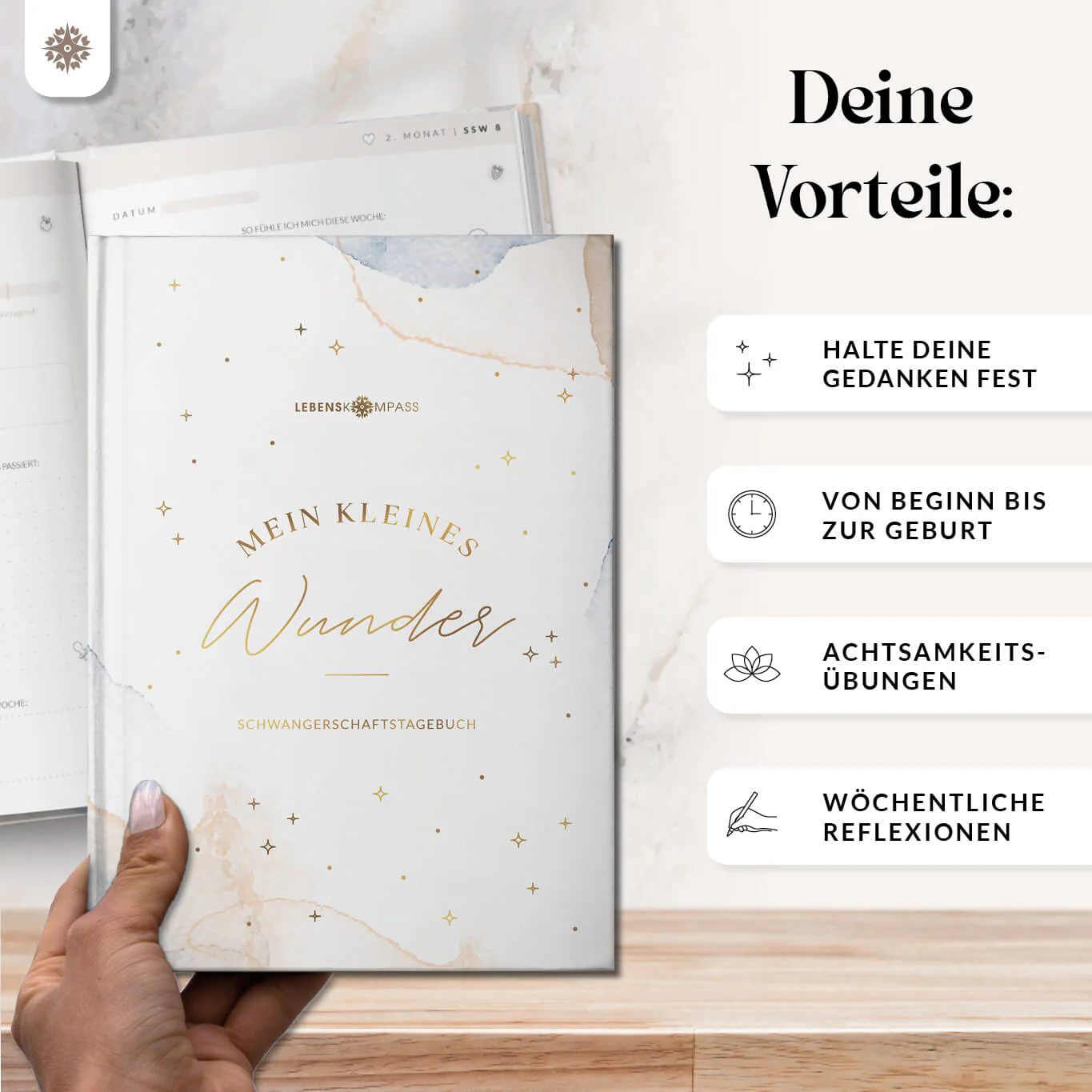 Vorschaubild 17