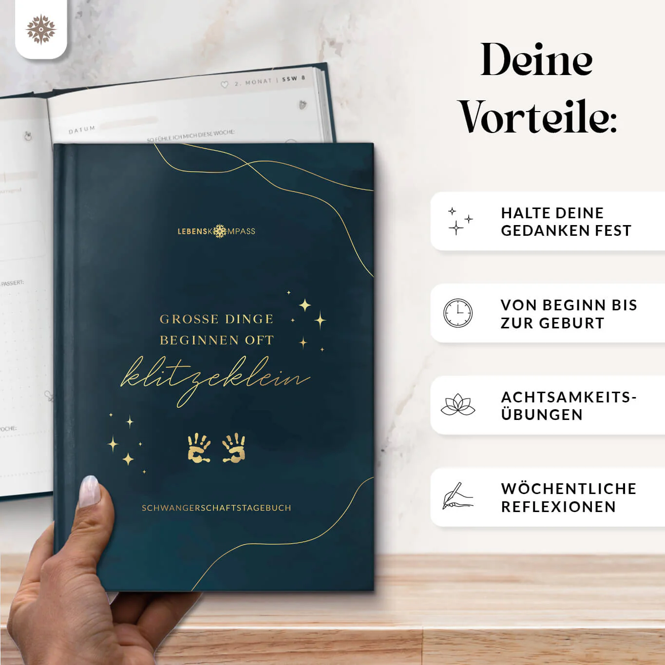Vorschaubild 5