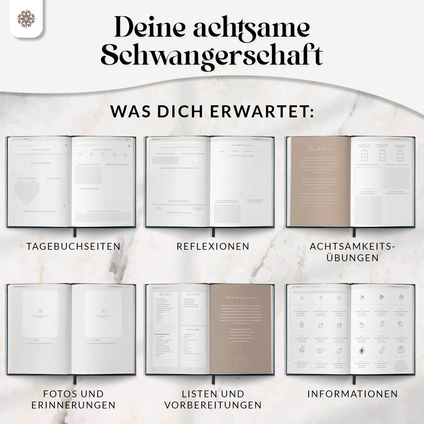 Vorschaubild 8